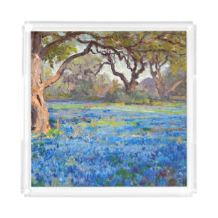 A Field of Bluebonnets at Alamo Heights, Acrylic Tray