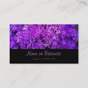 A field of Purple and Pink Daisies Business Card