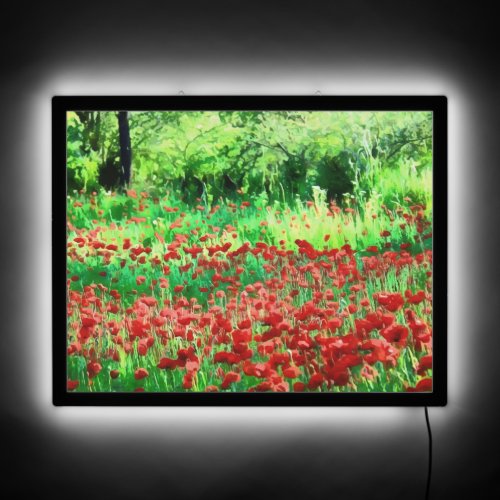 A Field Of Red Wildflowers Landscape Art