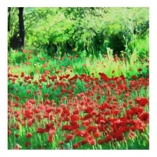 A Field Of Red Wildflowers Landscape Art