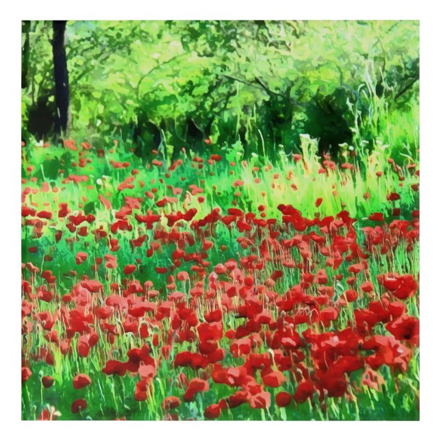 A Field Of Red Wildflowers Landscape Art (Front)