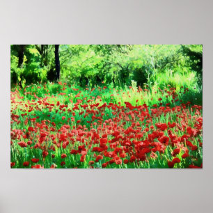 A Field Of Red Wildflowers Landscape Art Poster