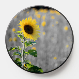 A Field of Sunflowers in Black & White PopSocket