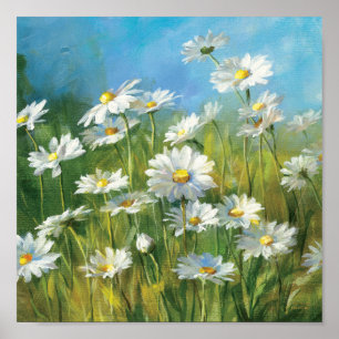 A Field of White Daisies Poster