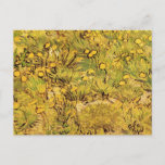 A Field of Yellow Flowers by Vincent van Gogh Postcard<br><div class="desc">A Field of Yellow Flowers by Vincent van Gogh is a vintage fine art post impressionism landscape painting featuring a garden with blooming yellow dandelion flowers in a meadow in spring. About the artist: Vincent Willem van Gogh (1853 -1890) was one of the most famous Post Impressionist painters of his...</div>