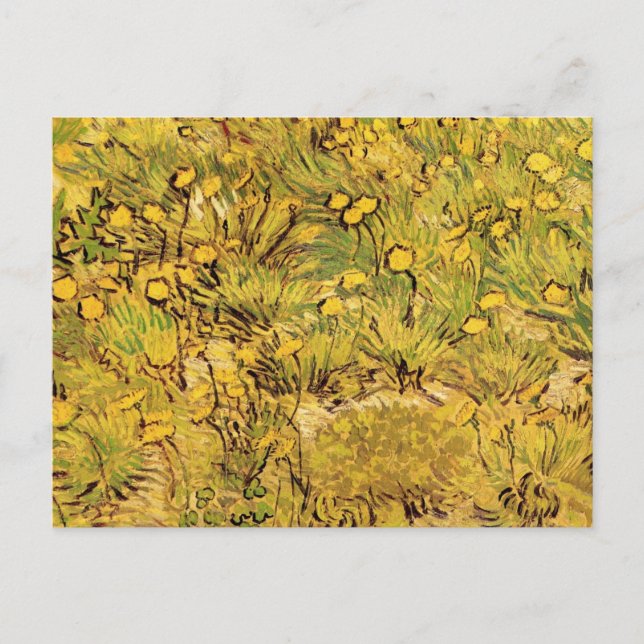 A Field of Yellow Flowers by Vincent van Gogh Postcard (Front)