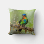 A Fiery-throated Hummingbird in the Cloud Forest Throw Pillow