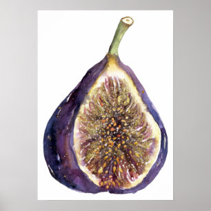 A Fig Painting Poster