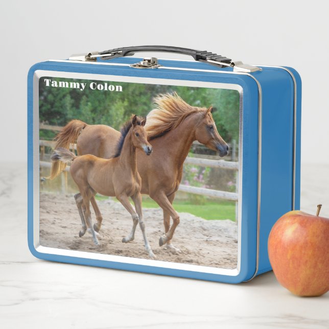 A Filly and her Mom  Metal Lunch Box (In Situ)
