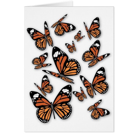 A Flight of Butterflies Cards (Front)