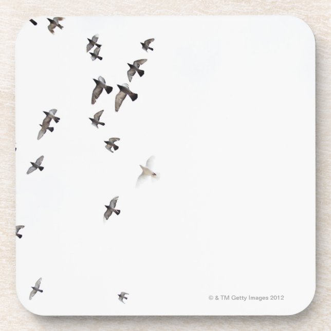 A flock of birds is flying at the sky beverage coaster (Front)