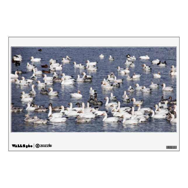 A Flock of Snow Geese at the Beach Wall Decal (Front)
