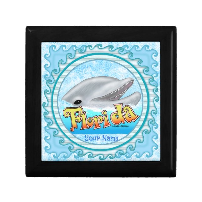 A Florida Dolphin Gift Box (Front)
