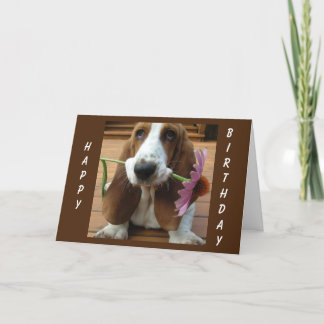 **A FLOWER FOR YOU** ON YOUR *BIRTHDAY* CARD