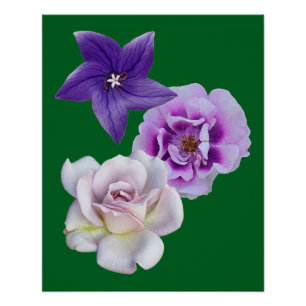 A flower poster