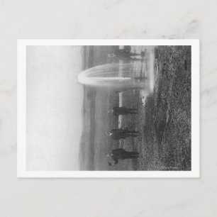 A Flowing Well in the Judith BasinMontana Postcard