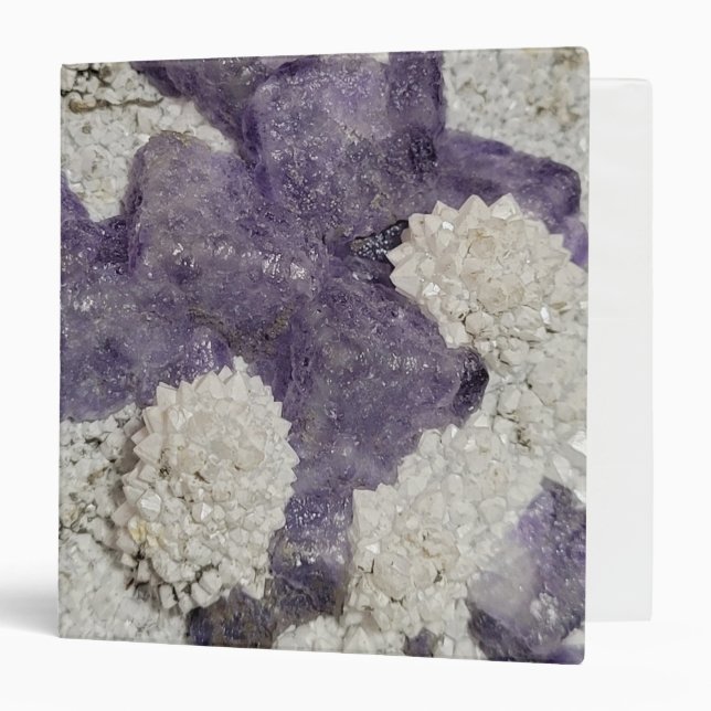 A fluorite Binder (Front/Inside)