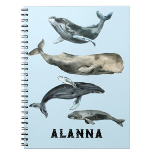 A flurry of whales  notebook