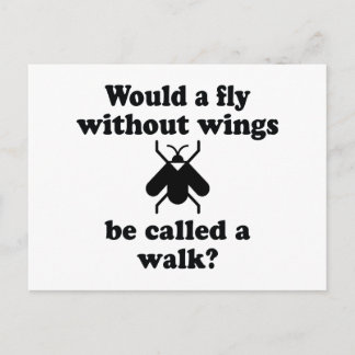 A Fly Without Wings Postcard