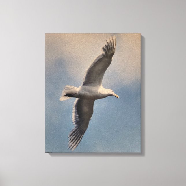 A flying seagull on Stretched Canvas Print (Front)