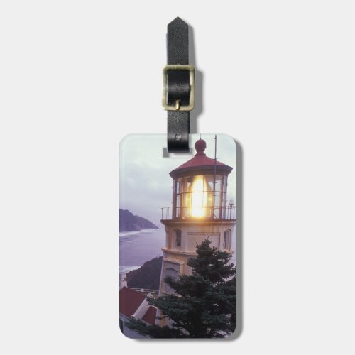 A foggy day on the Oregon coast at the Heceta Luggage Tag