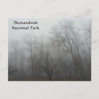 A foggy day on the Skyline Drive in Virginia Postcard