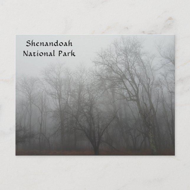 A foggy day on the Skyline Drive in Virginia Postcard (Front)