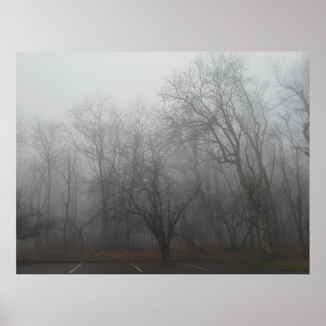A foggy day on the Skyline Drive in Virginia Poster (Front)
