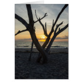 A Folly Sunrise (Front)