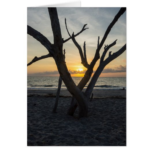 A Folly Sunrise Cards (Front)