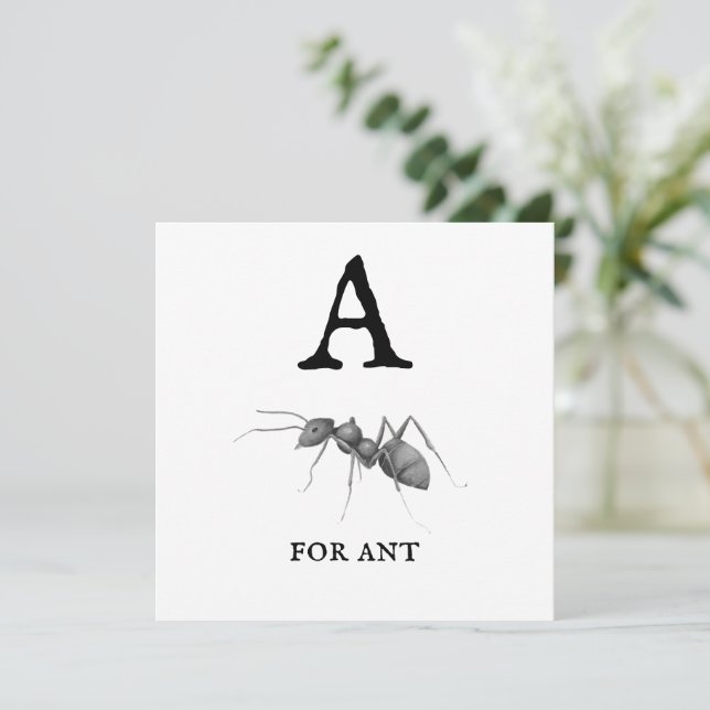 "A" for Ant  (Standing Front)