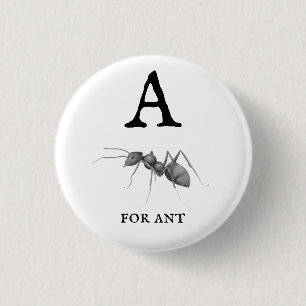 "A" for Ant Button