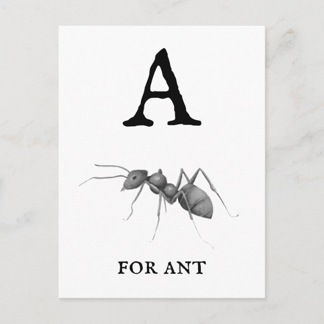"A" for Ant  Postcard (Front)
