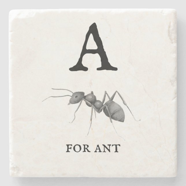 "A" for Ant  Stone Coaster (Front)