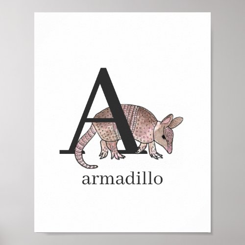A for Armadillo Poster
