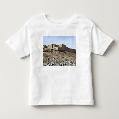 A fortified compound in the village of Akbar Kh Toddler T_shirt