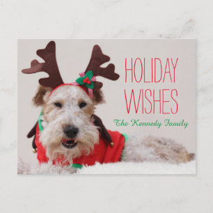A fox terrier is dressed up for Christmas Holiday Postcard