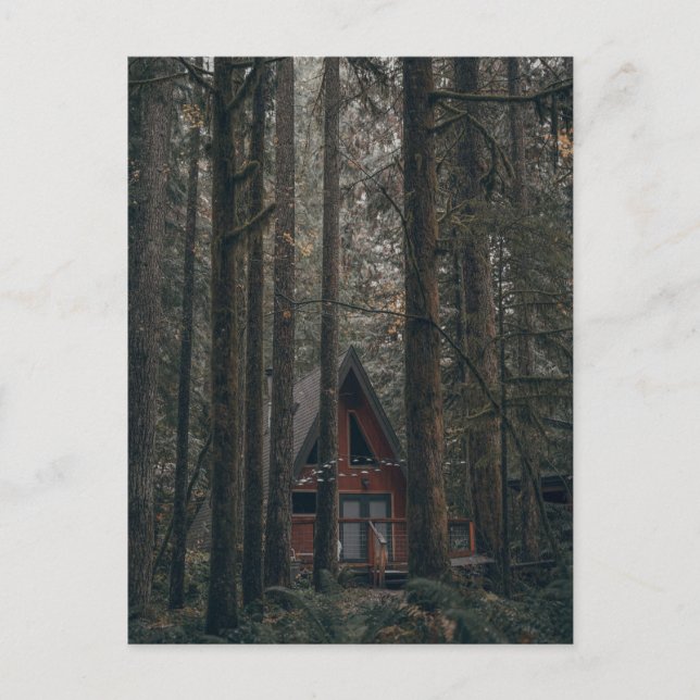 A-FRAME TINY HOUSE CABIN IN THE WOODS POSTCARD (Front)