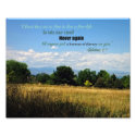 A Free Life - 8x10 Photo Print
