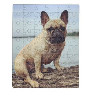 A French Bulldog Jigsaw Puzzle