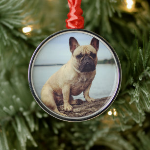 A French Bulldog Metal Ornament