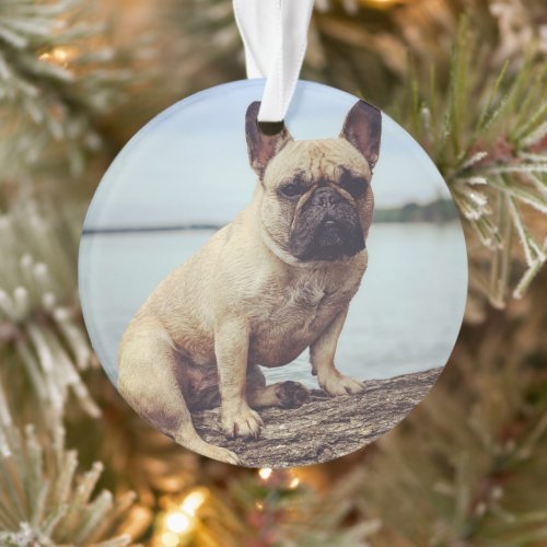 A French Bulldog Ornament