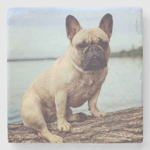 A French Bulldog Stone Coaster