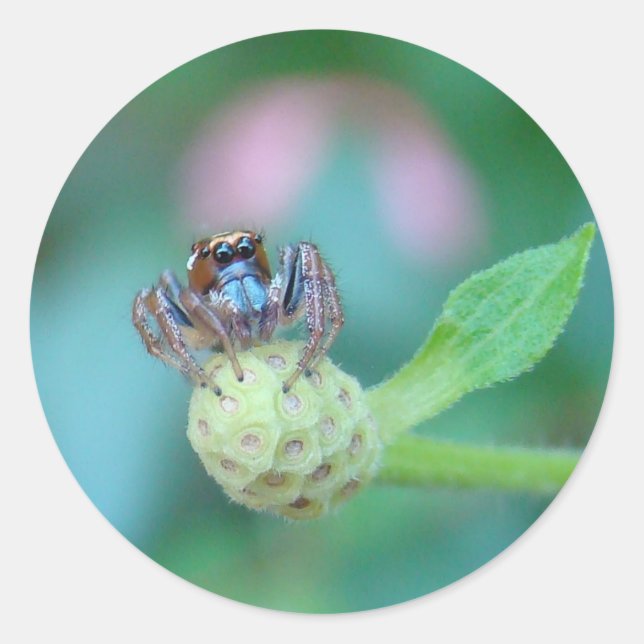 A Friend for Jumping Jack! Classic Round Sticker (Front)