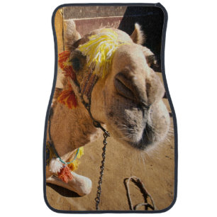 A friendly camel awaits its next rider, Cairo, Car Mat
