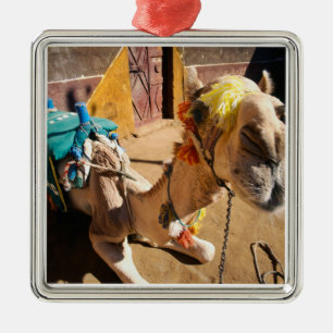 A friendly camel awaits its next rider, Cairo, Metal Ornament