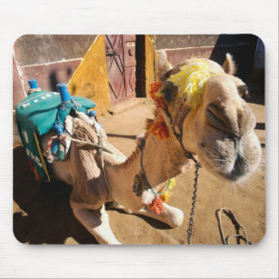A friendly camel awaits its next rider, Cairo, Mouse Pad