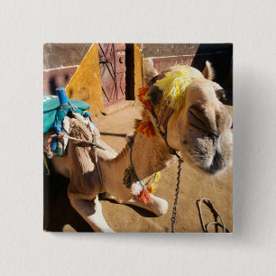 A friendly camel awaits its next rider, Cairo, Pinback Button