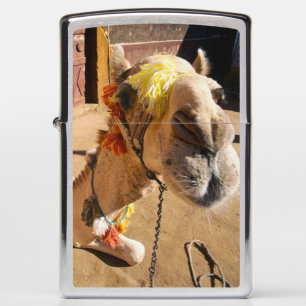 A friendly camel awaits its next rider, Cairo, Zippo Lighter
