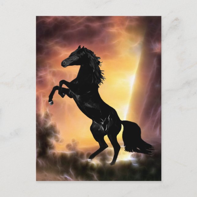 A Friesian Stallion horse rearing Postcard (Front)